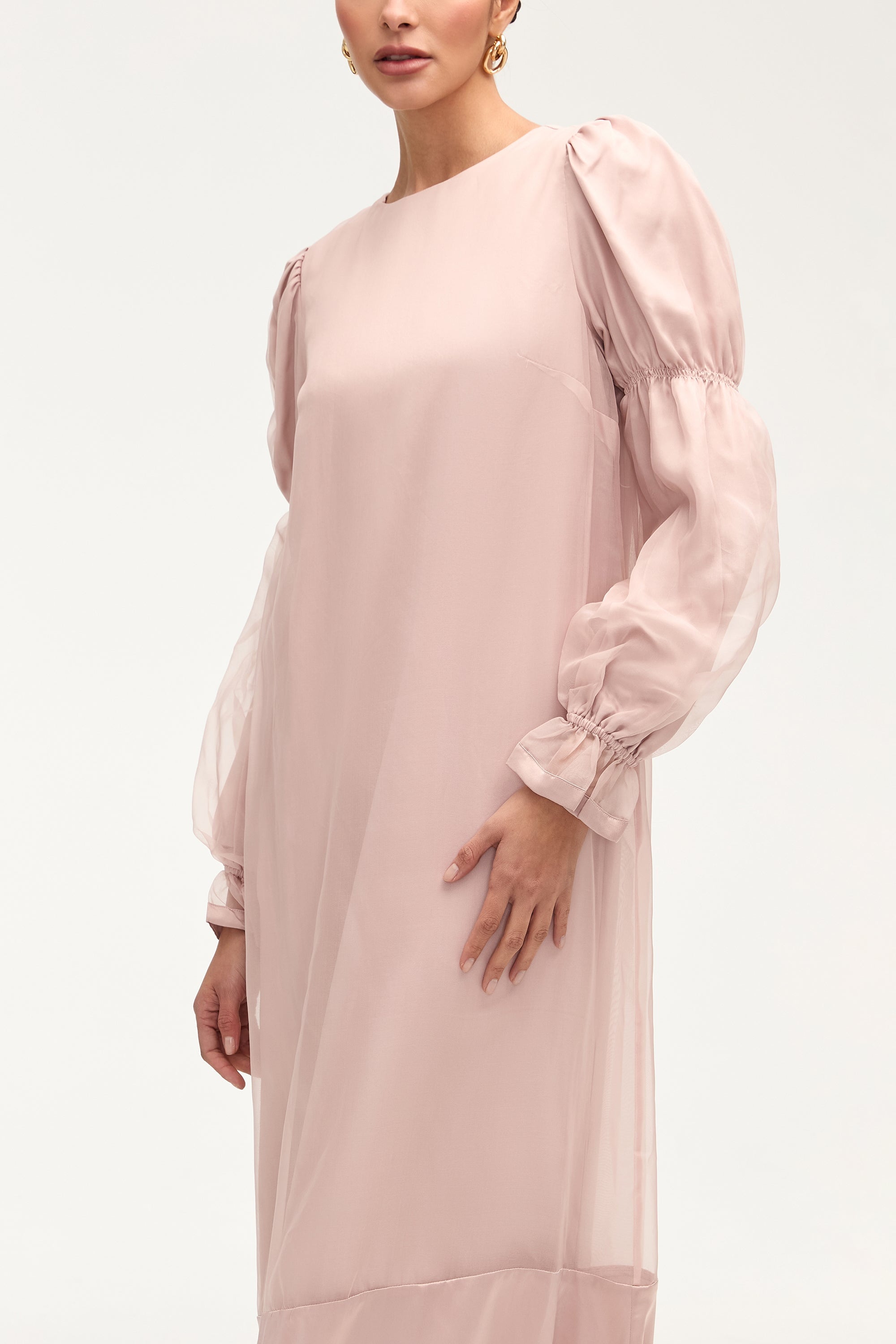 Silk Organza Satin Trim Maxi Dress - Sepia Rose Dresses Veiled 